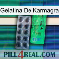 Karmagra Jelly new04